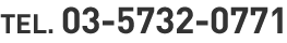 電話番号: 03-5732-0771